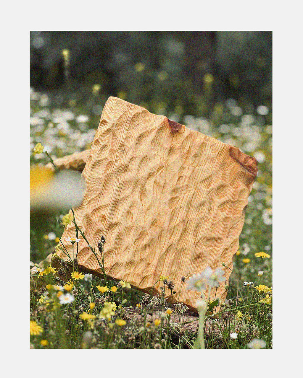 L'artisan - Form 01